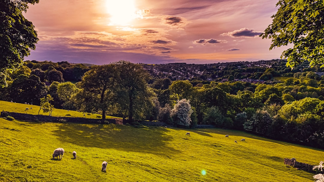 Photo rolling hills